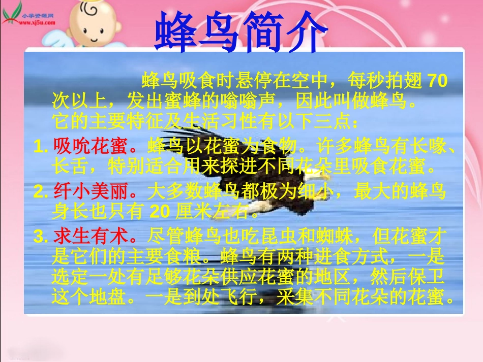《“空中霸王”的克星》PPT课件[西师大版四年级语文上册]_第2页