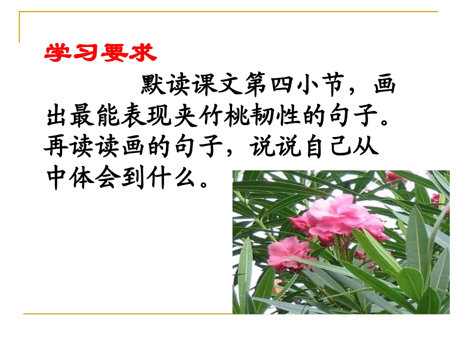 《夹竹桃》PPT课件[西师大版四年级语文上册]_第3页