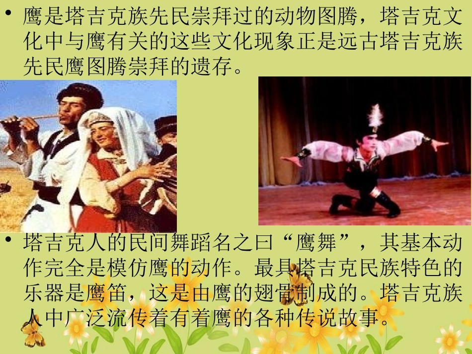 《阳光照耀着塔什库尔干》PPT课件[八年级音乐下册]_第3页