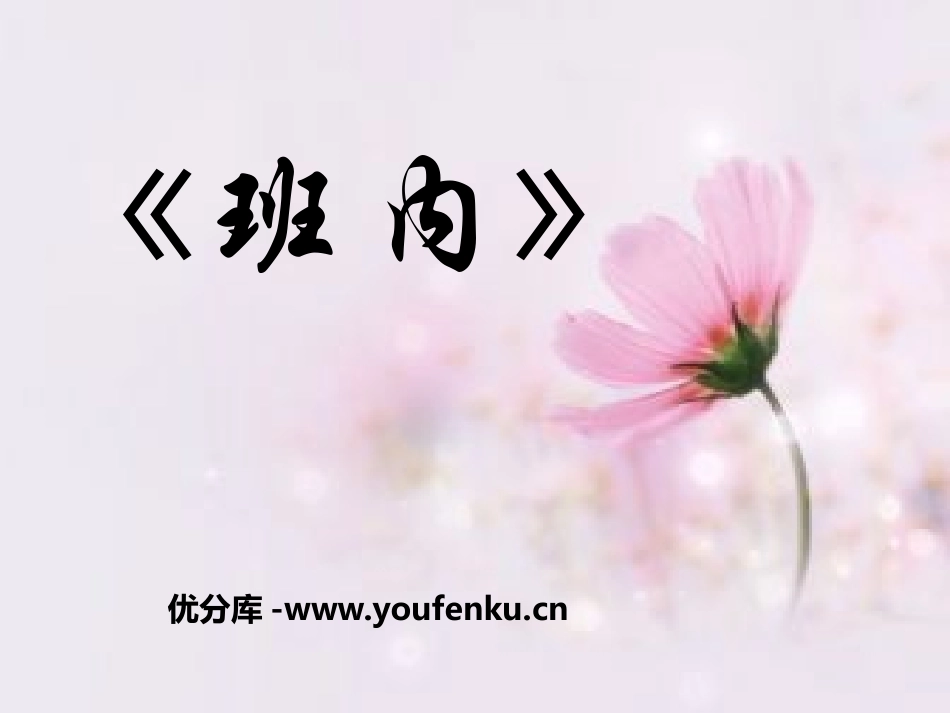《班内》PPT课件[八年级音乐下册]_第1页