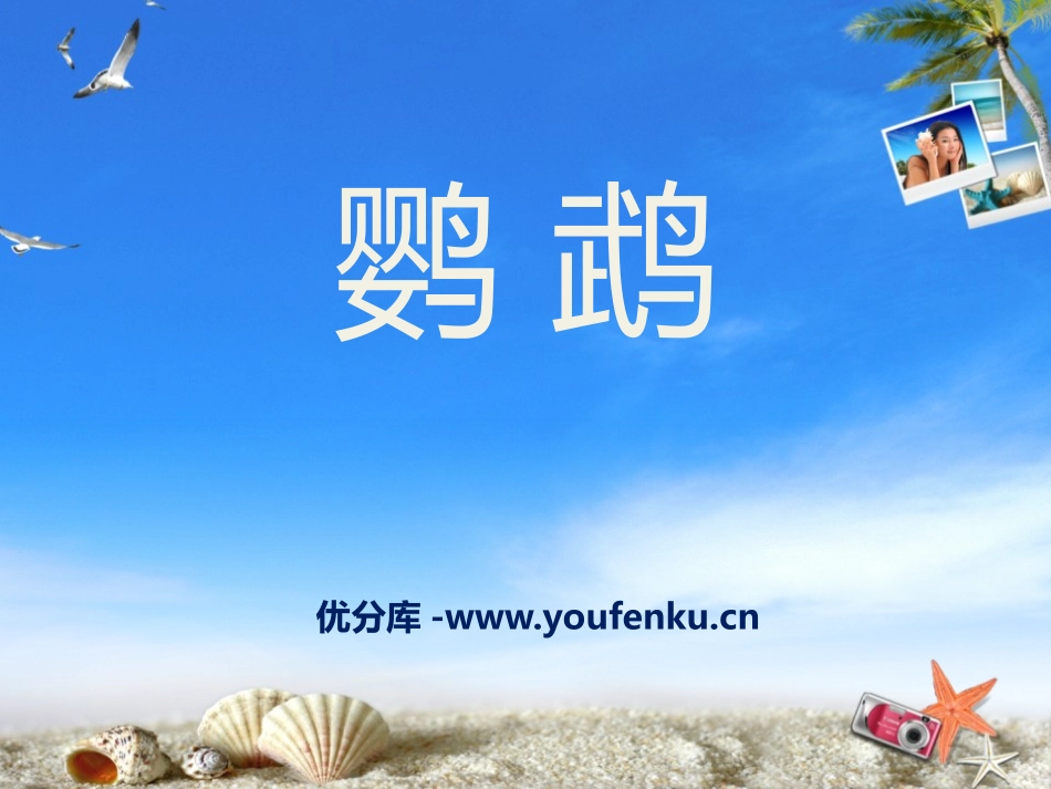 《鹦鹉》PPT课件[八年级音乐下册]_第1页