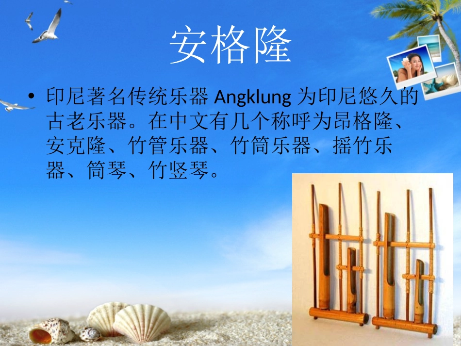 《鹦鹉》PPT课件[八年级音乐下册]_第2页