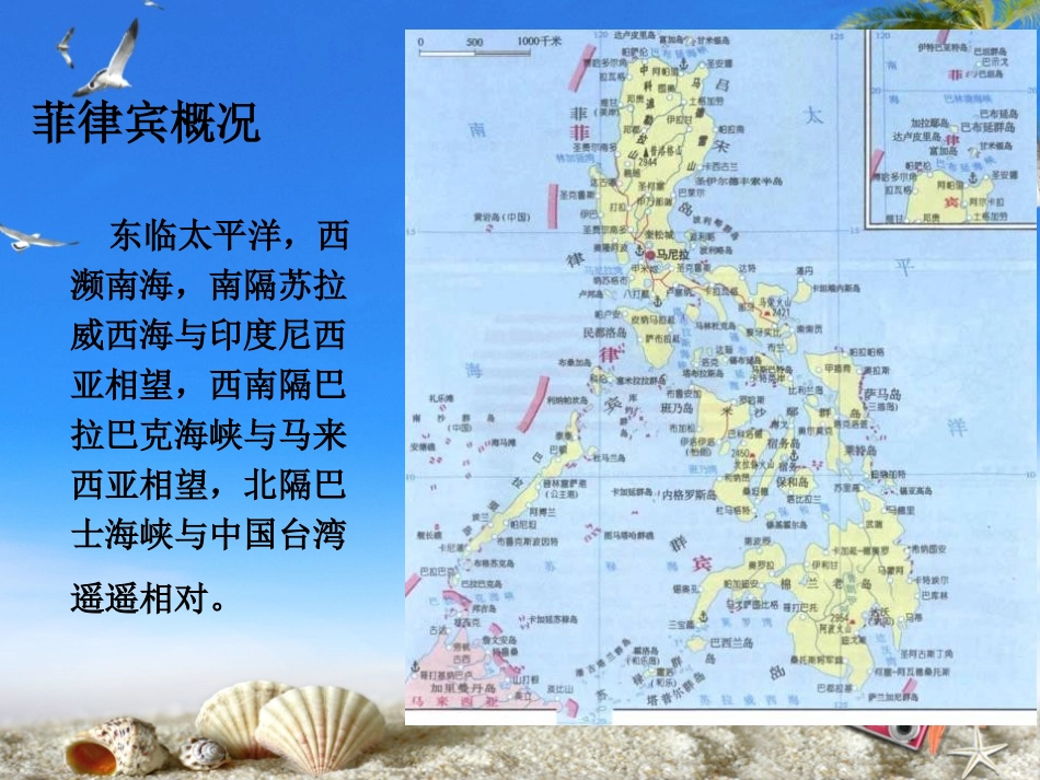 《鹦鹉》PPT课件[八年级音乐下册]_第3页
