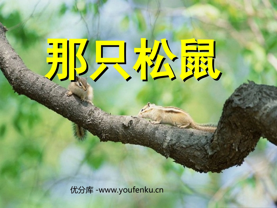《那只松鼠》PPT课件[西师大版四年级语文上册]_第1页