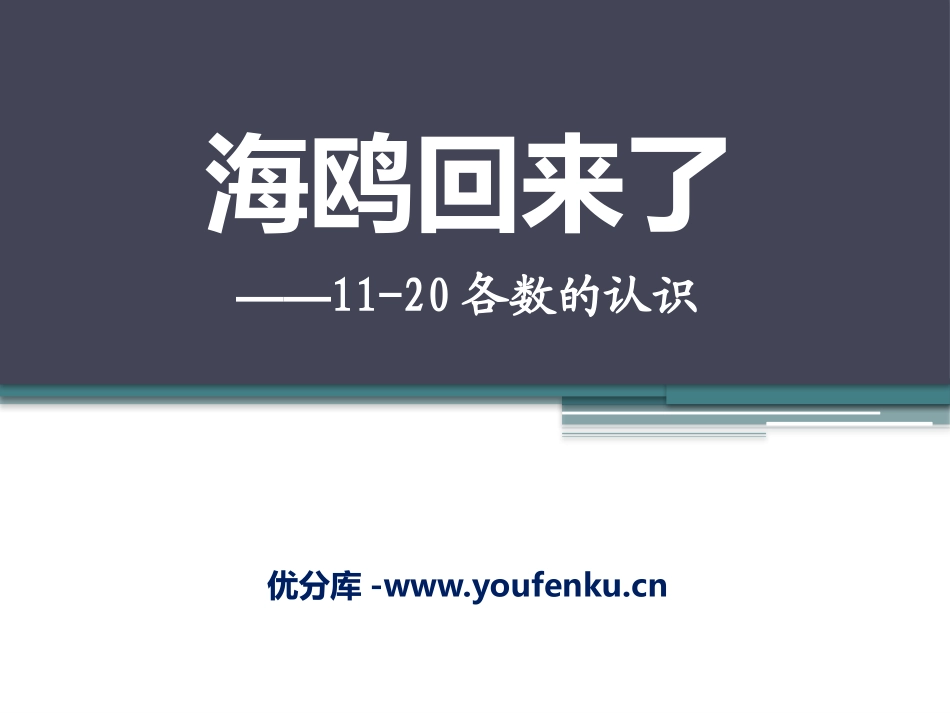 《海鸥回来了》PPT课件[青岛版一年级数学上册]_第1页