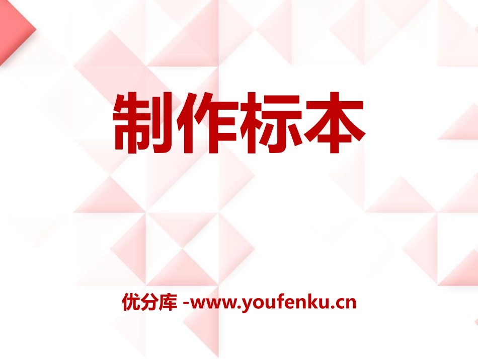 《制作标本》PPT课件[青岛版二年级数学上册]_第1页