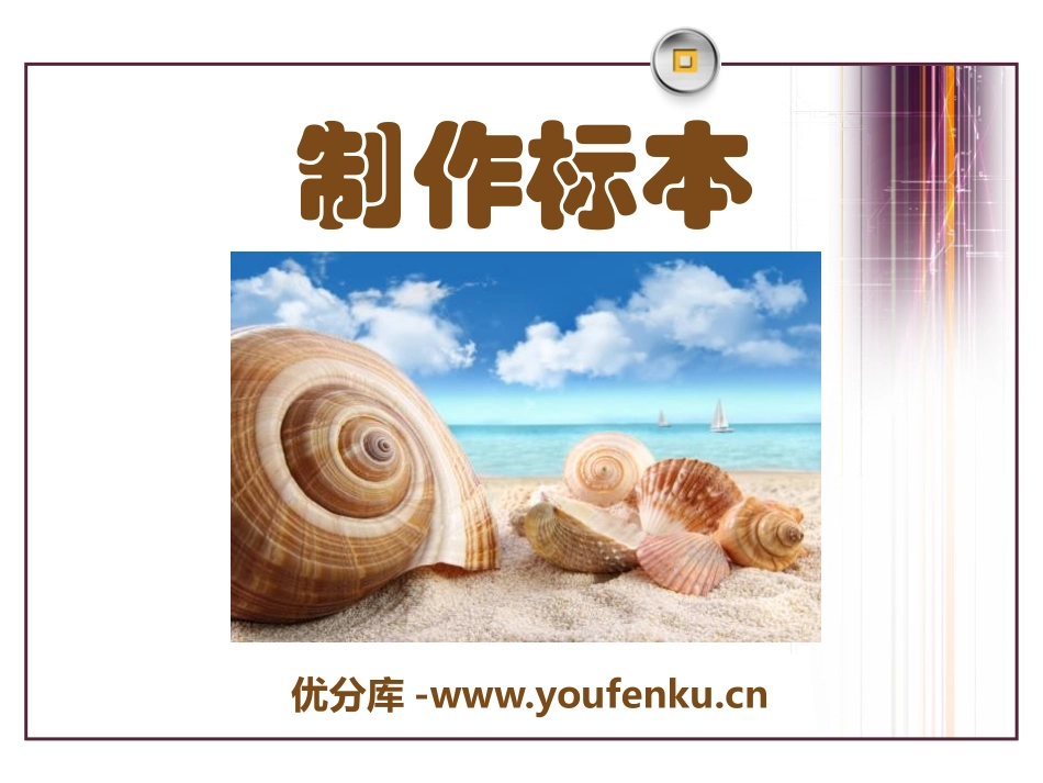 《制作标本》PPT课件[青岛版二年级数学上册]_第1页