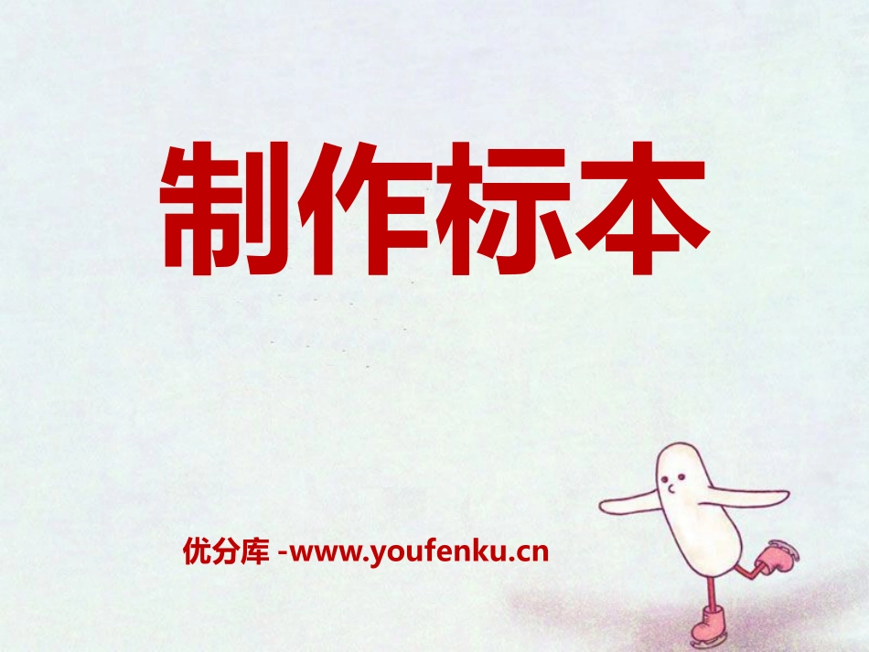 《制作标本》PPT课件[青岛版二年级数学上册]_第1页