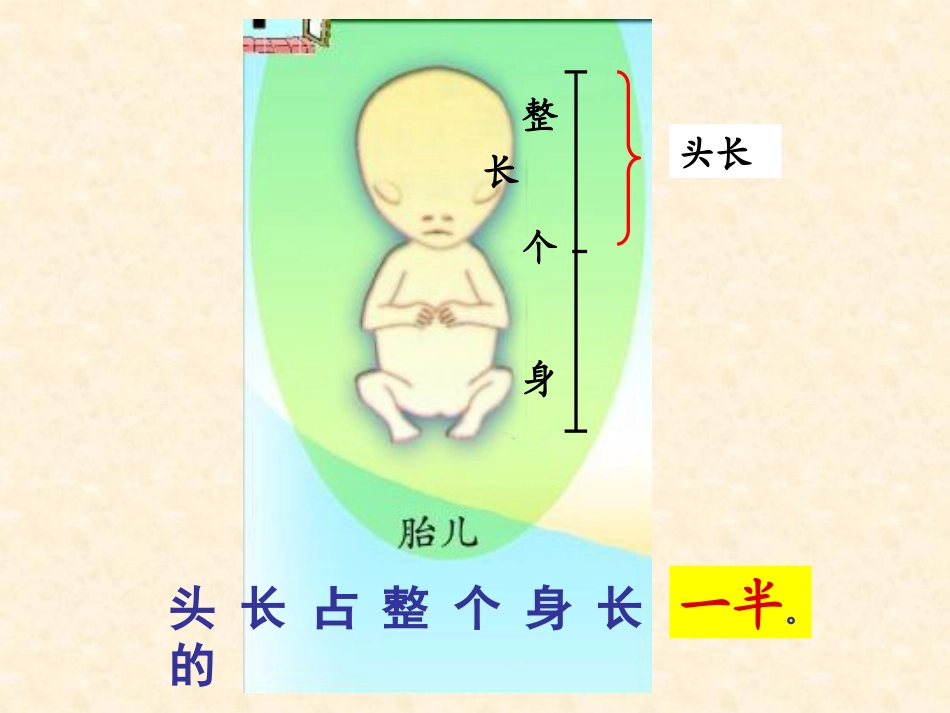《我当小厨师》PPT课件[青岛版三年级数学上册]_第1页