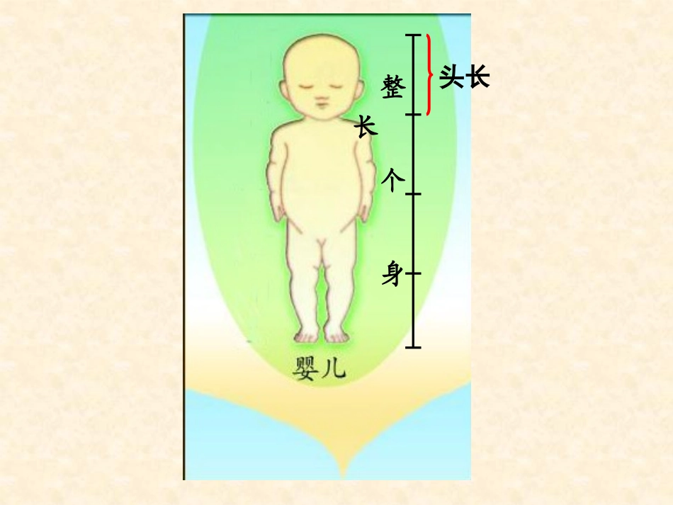 《我当小厨师》PPT课件[青岛版三年级数学上册]_第2页