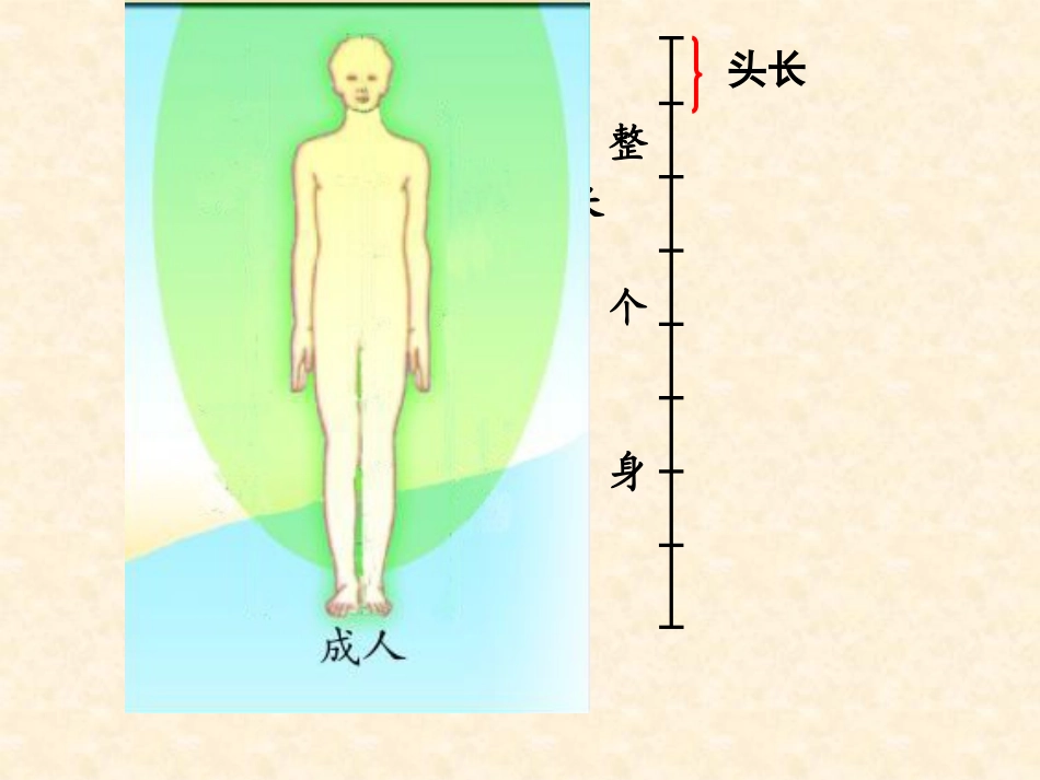《我当小厨师》PPT课件[青岛版三年级数学上册]_第3页