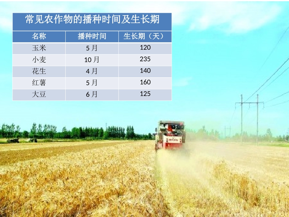 《收获的季节》PPT课件[青岛版四年级数学上册]_第1页