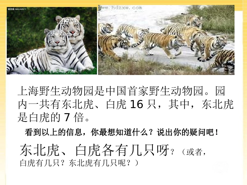 《走进动物园》PPT课件[青岛版五年级数学上册]_第3页