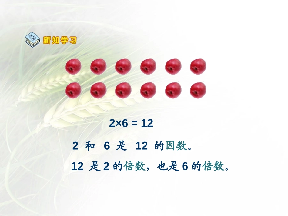 《团体操表演》PPT课件[青岛版五年级数学上册]_第3页