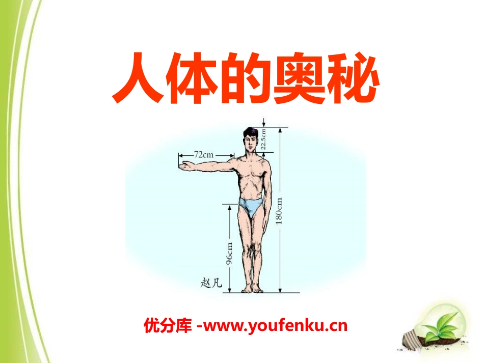 《人体的奥秘》PPT课件[青岛版六年级数学上册]_第1页