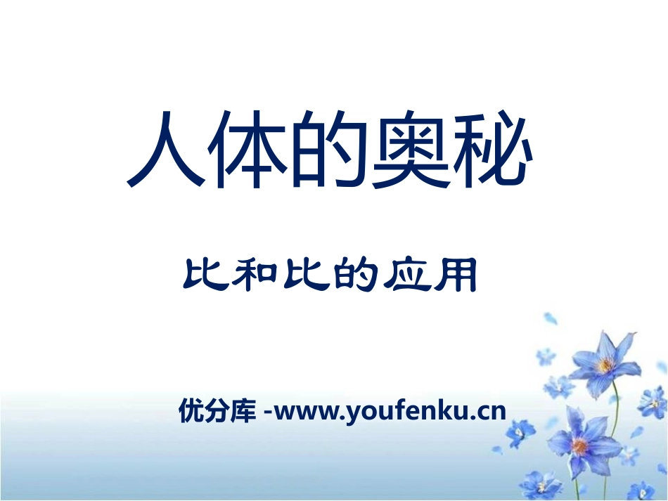 《人体的奥秘》PPT课件[青岛版六年级数学上册]_第1页