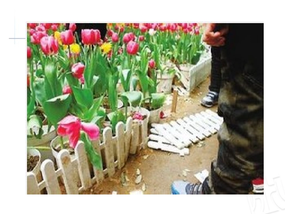 《丰收了》PPT课件[青岛版一年级数学下册]_第2页