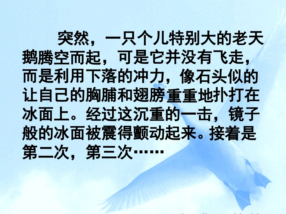 《天鹅的故事》PPT课件[西师大版四年级语文上册]_第3页