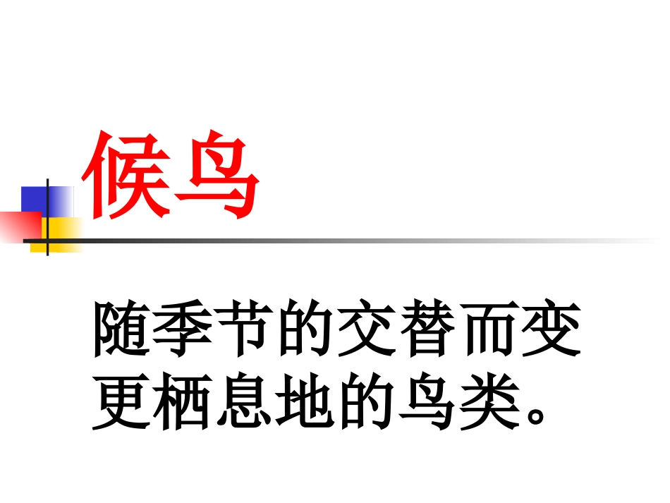 《天鹅的故事》PPT课件[西师大版四年级语文上册]_第1页