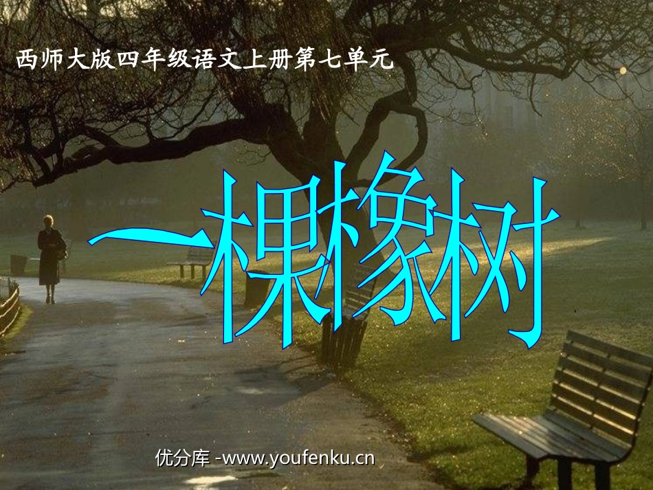 《一棵橡树》PPT课件[西师大版四年级语文上册]_第1页