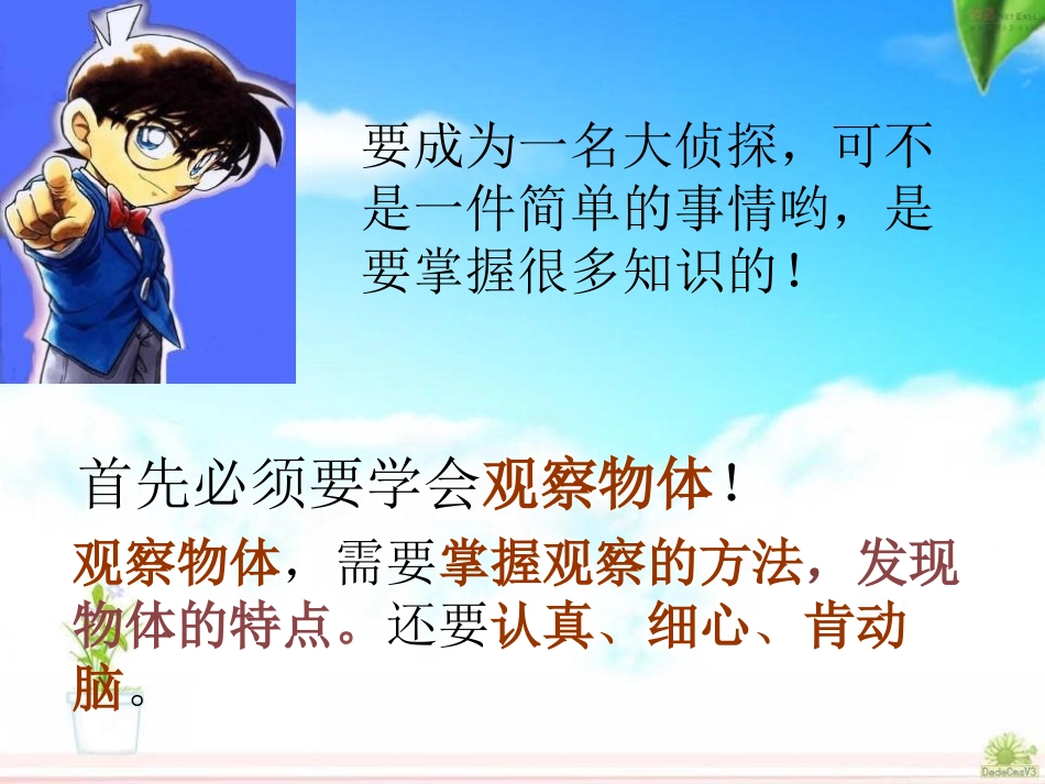 《谁的眼睛亮》PPT课件[青岛版二年级数学下册]_第2页