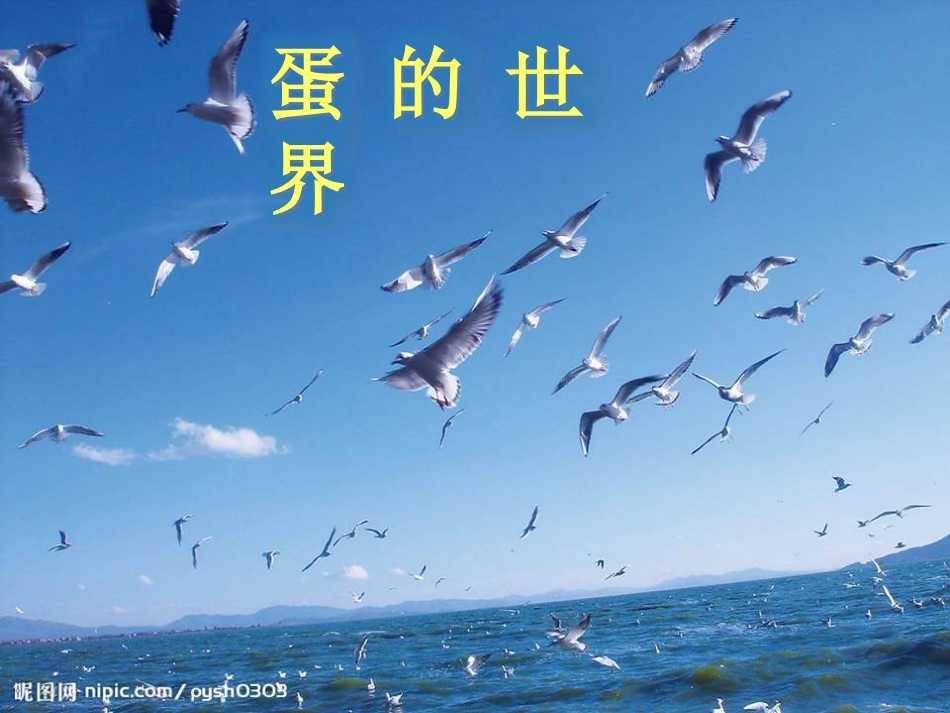 《动物世界》PPT课件[青岛版四年级数学下册]_第2页