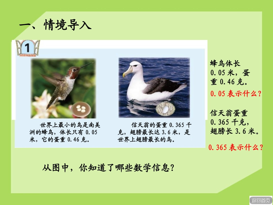 《动物世界》PPT课件[青岛版四年级数学下册]_第2页