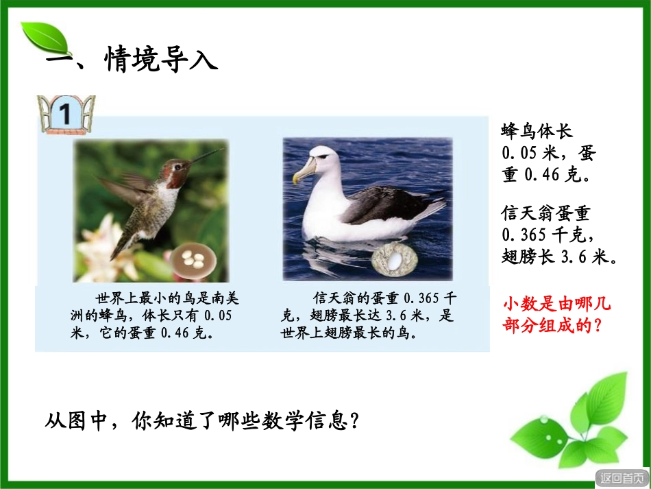《动物世界》PPT课件[青岛版四年级数学下册]_第2页