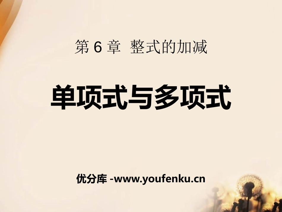《单项式与多项式》PPT课件[青岛版七年级数学上册]_第1页