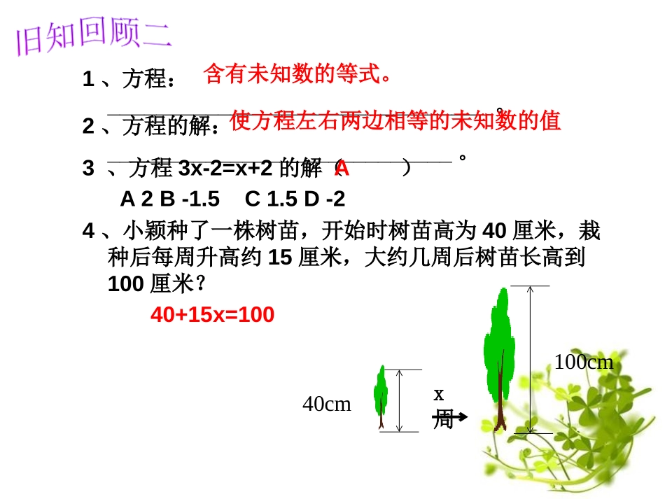 《一元一次方程》PPT课件[青岛版七年级数学上册]_第3页