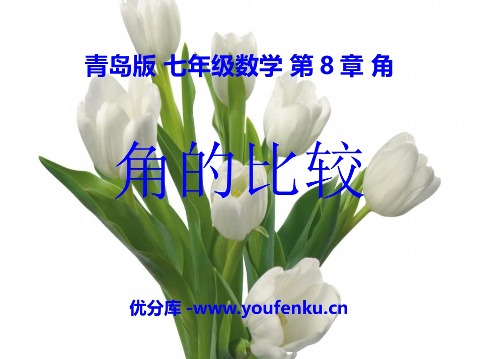 《角的比较》PPT课件[青岛版七年级数学下册]_第1页