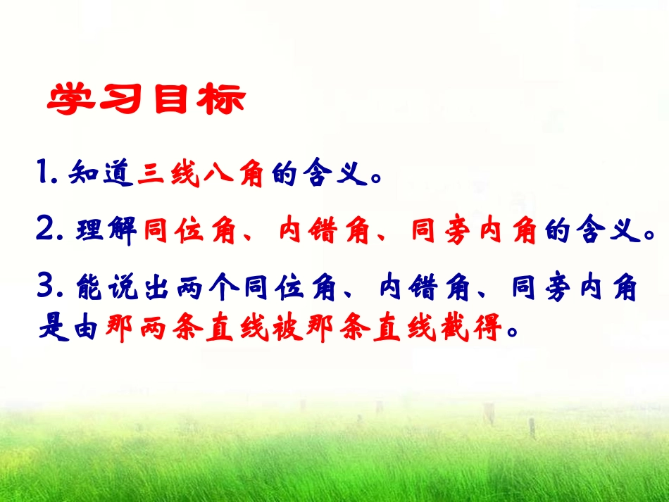 《同位角、内错角、同旁内角》PPT课件[青岛版七年级数学]_第2页