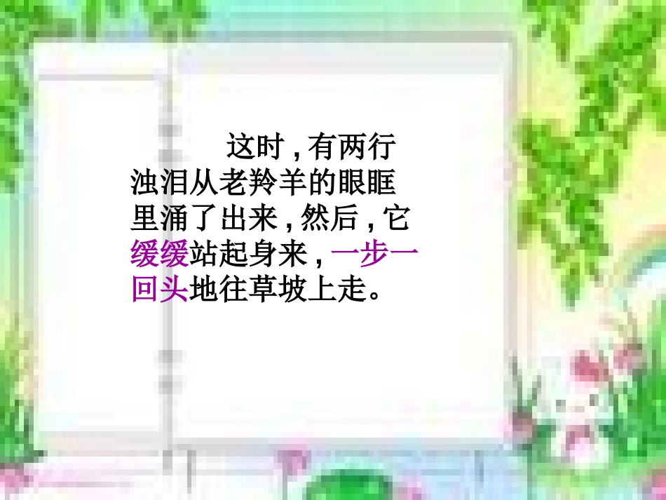 《藏羚羊的故事》PPT课件[西师大版五年级语文上册]_第3页