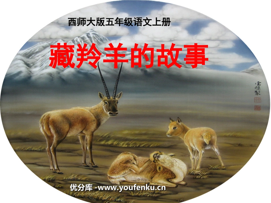 《藏羚羊的故事》PPT课件[西师大版五年级语文上册]_第1页