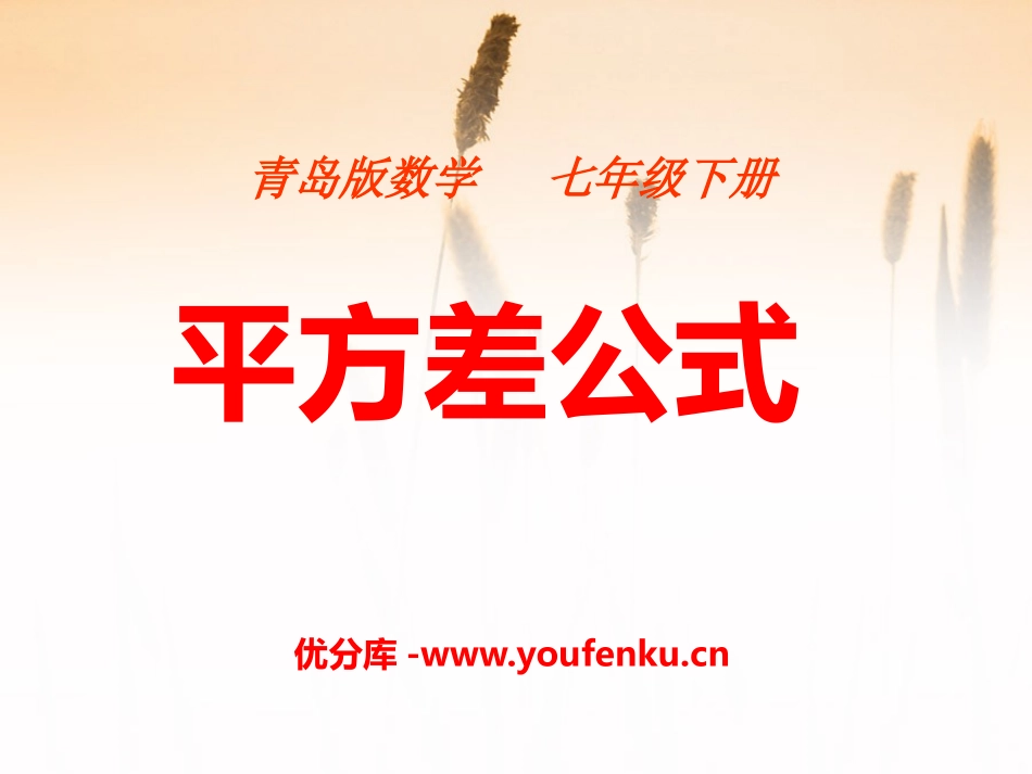 《平方差公式》PPT课件[青岛版七年级数学下册]_第1页