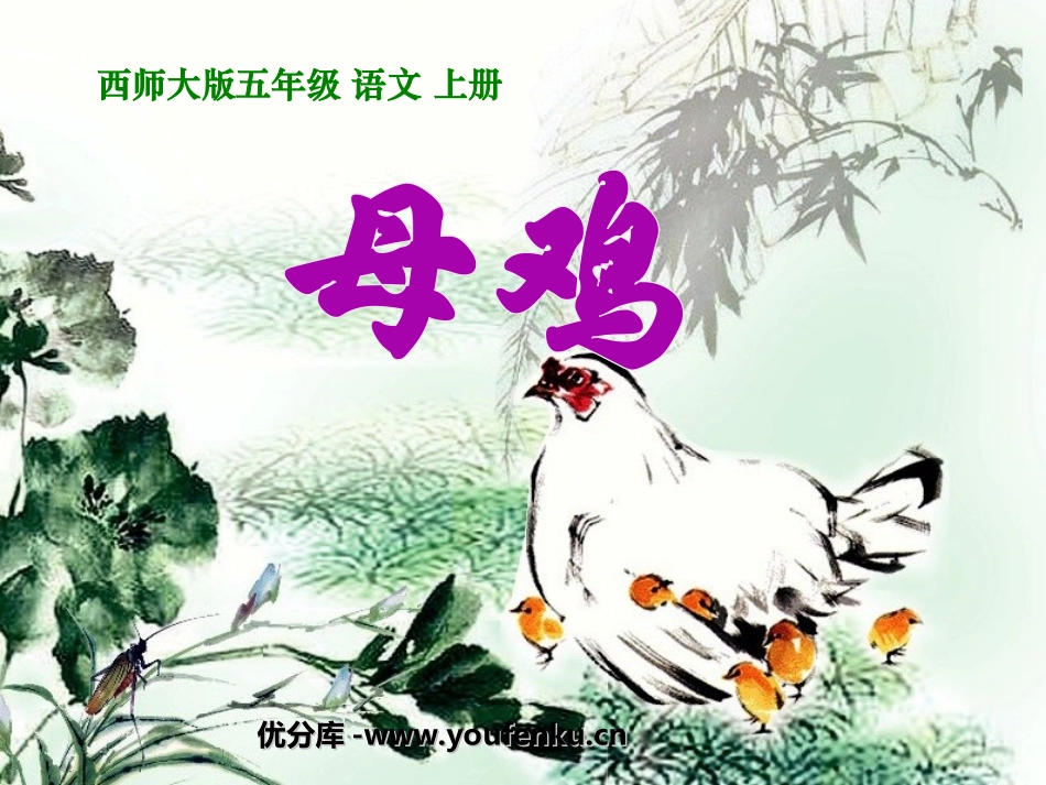 《母鸡》PPT课件[西师大版五年级语文上册]_第1页