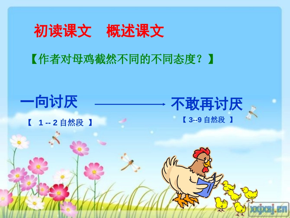 《母鸡》PPT课件[西师大版五年级语文上册]_第3页