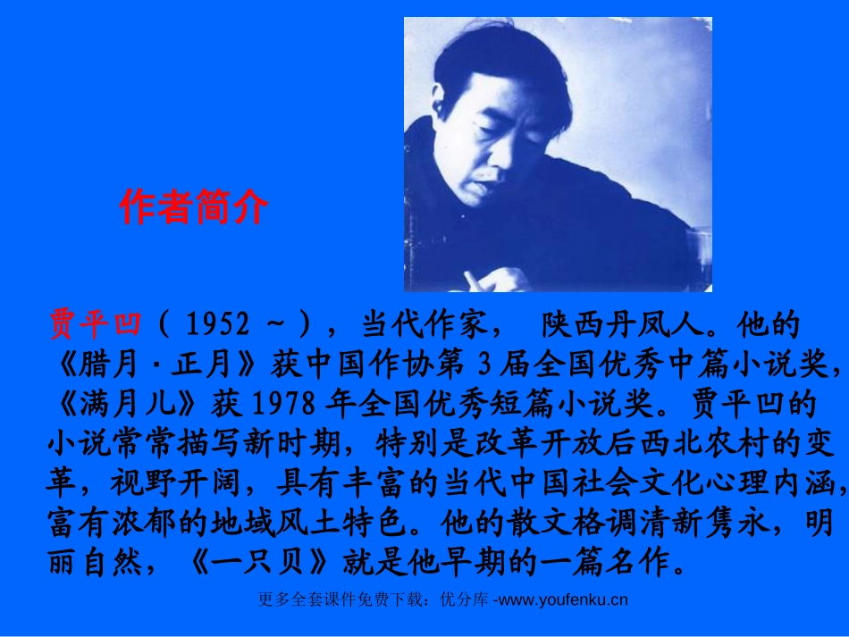 《一只贝》PPT课件[西师大版五年级语文上册]_第1页