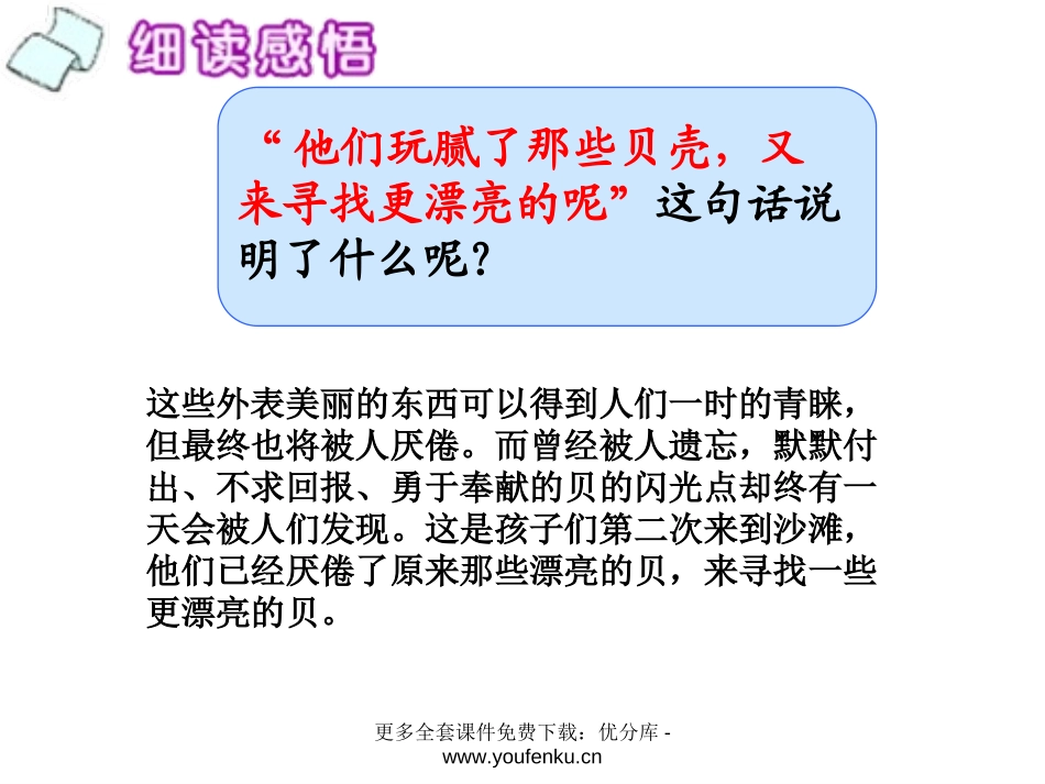《一只贝》PPT课件[西师大版五年级语文上册]_第2页