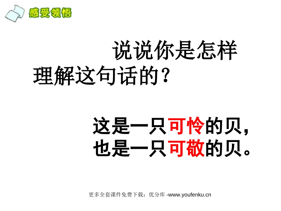 《一只贝》PPT课件[西师大版五年级语文上册]_第3页