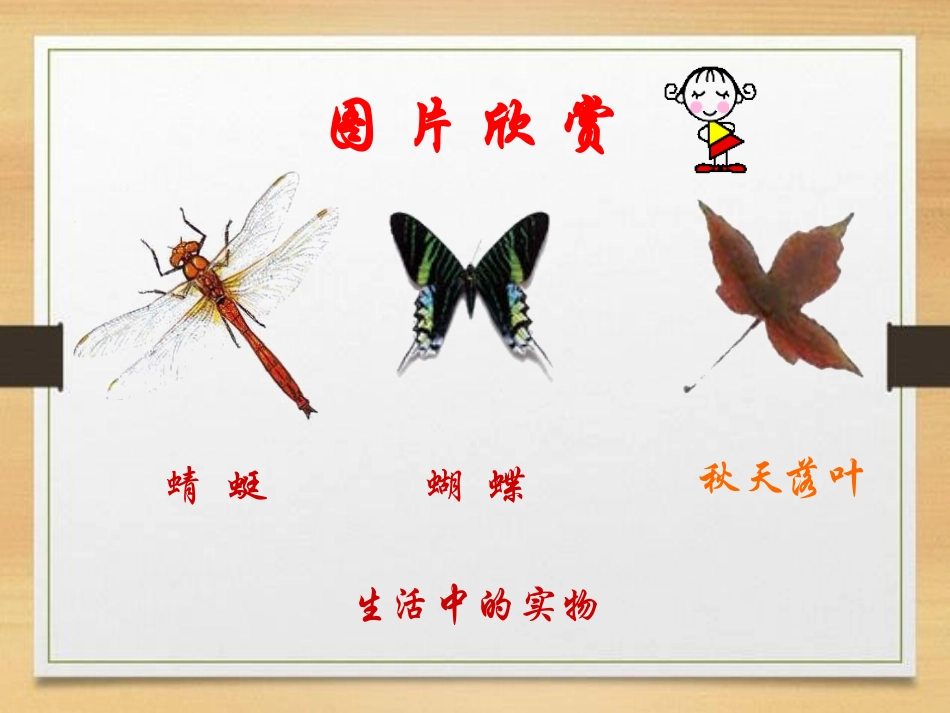 《轴对称图形》PPT课件[青岛版八年级数学上册]_第3页