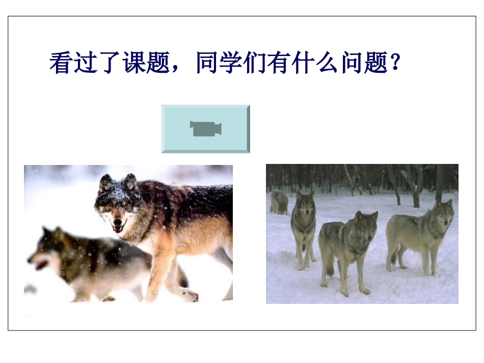 《狼群》PPT课件[西师大版五年级语文上册]_第2页