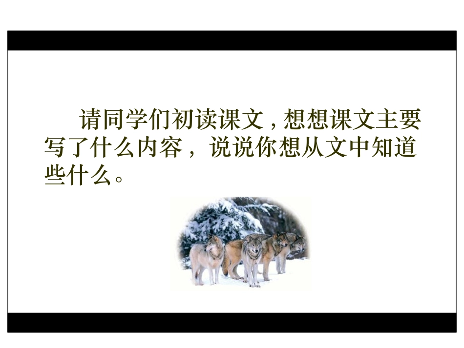《狼群》PPT课件[西师大版五年级语文上册]_第3页