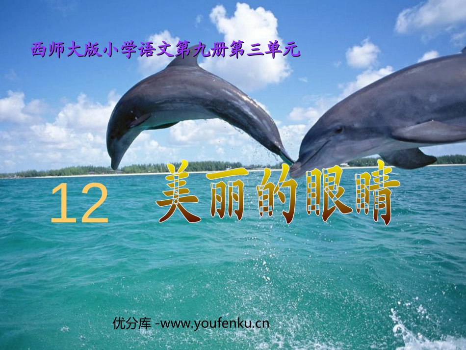 《美丽的眼睛》PPT课件[西师大版五年级语文上册]_第1页