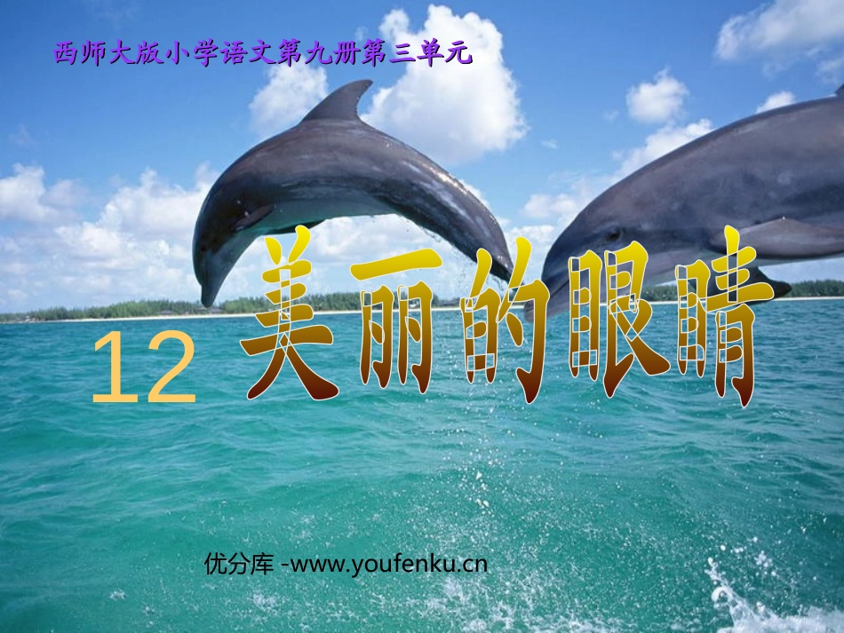 《美丽的眼睛》PPT课件[西师大版五年级语文上册]_第1页