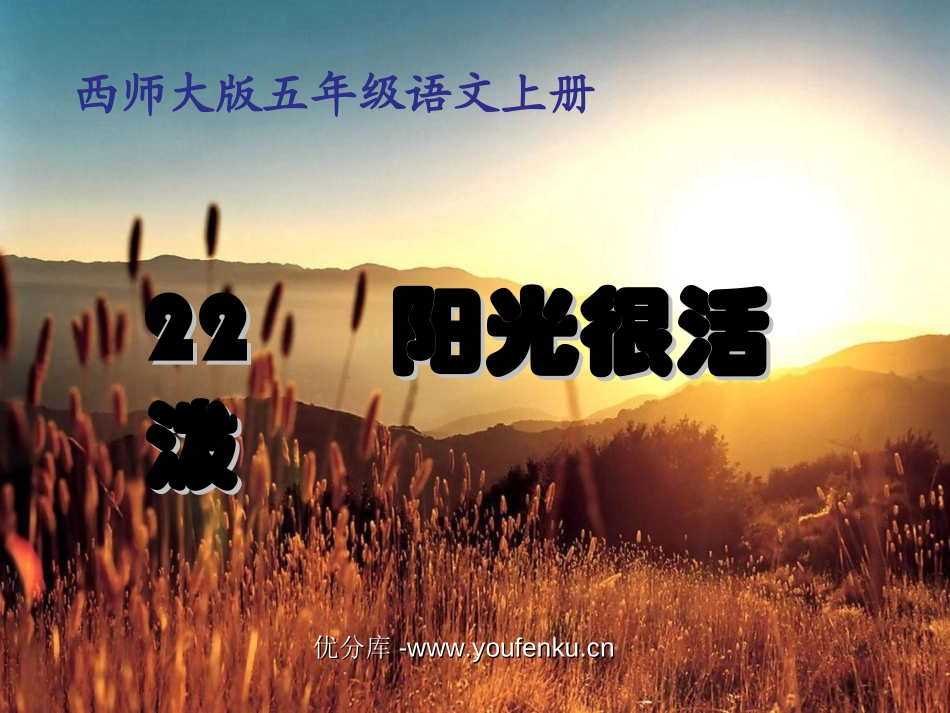 《阳光很活泼》PPT课件[西师大版五年级语文上册]_第1页