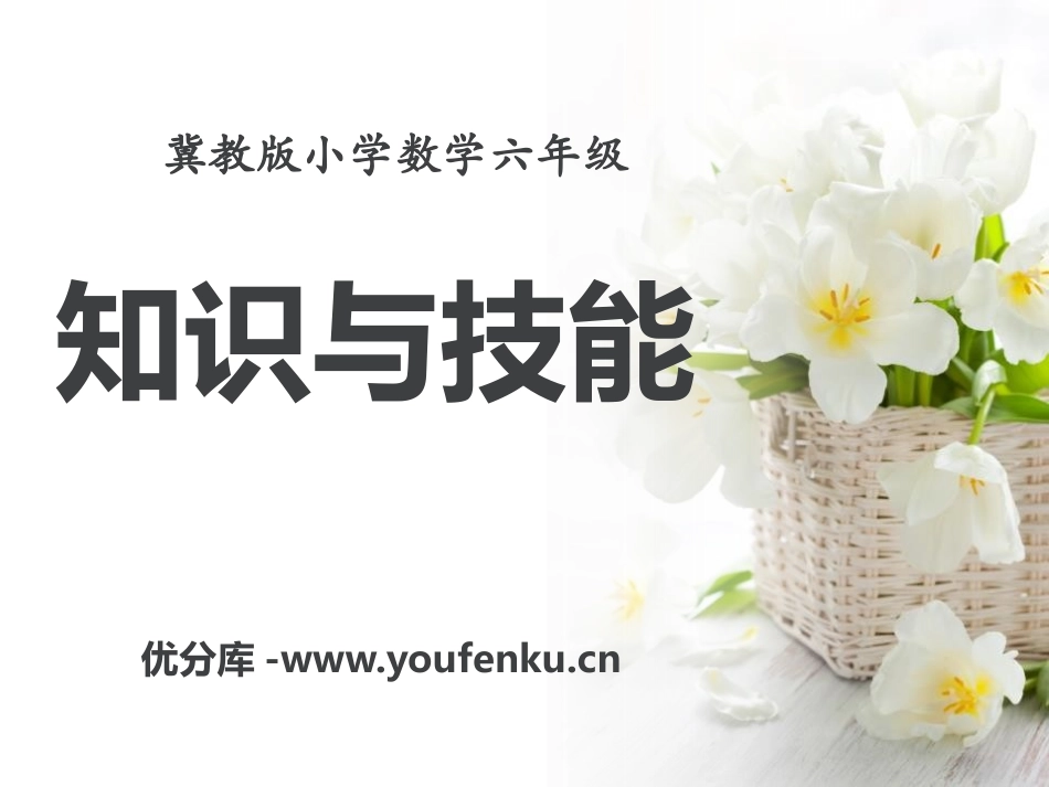 《知识与技能》探索乐园PPT课件[冀教版六年级数学上册]_第1页