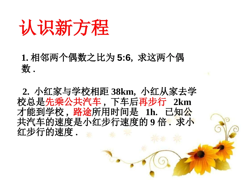 《分式方程》PPT课件[冀教版八年级数学上册]_第2页