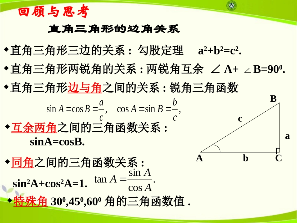 《锐角三角函数的应用》PPT课件[冀教版九年级数学上册]_第2页