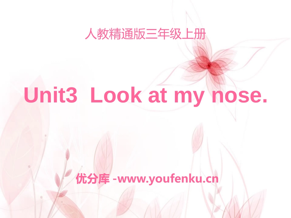 《Look at my nose》PPT课件[精通版三年级英语]_第1页